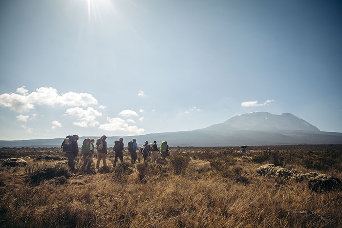 Rongai Route, Rongai Route, Machame Route, Lemosho Route