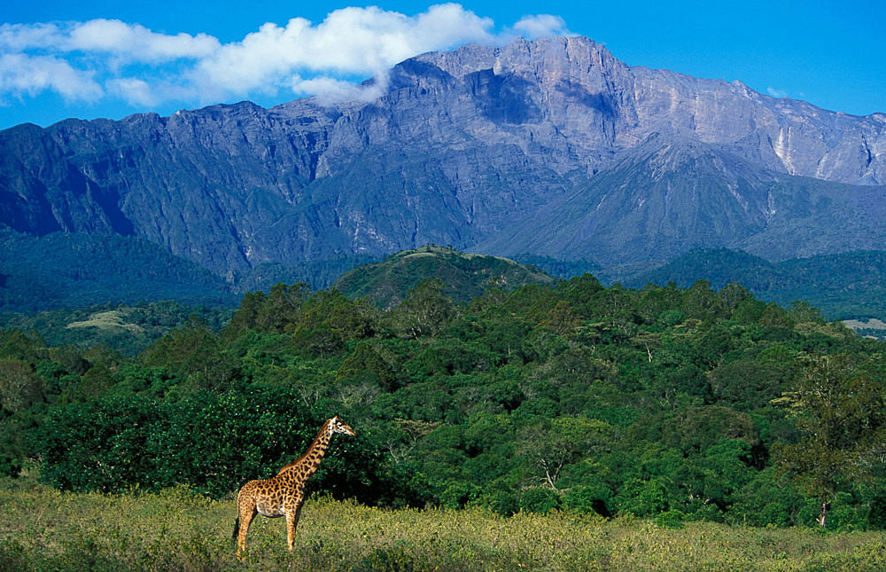 Arusha-National-Park-1
