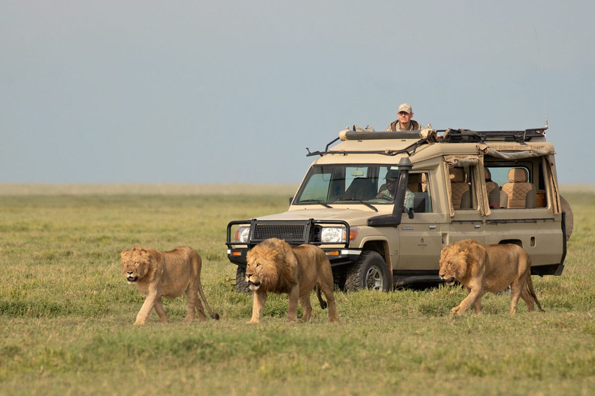 Serengeti-National-Park-safaris